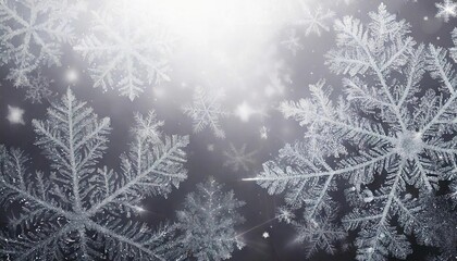 雪 結晶 冬 白い 美しい クリスマス 冷たい 自然 風景 透明 輝き 雪景色 フェスティブ 季節感 デコレーション 雪の結晶 冷気 雪の華 雪の結晶模様 雪の結晶アート