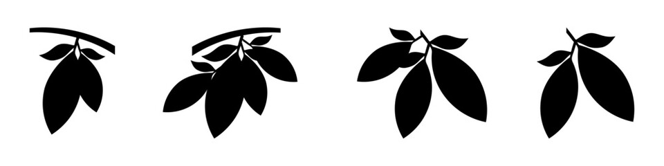 cacao vector design,editable cacao logo design,cacao fruit,cacao tree,illustration,vintage,chocolate,cocoa,leaf
