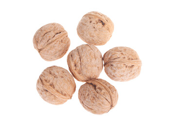 Walnuts are isolated on a white background,