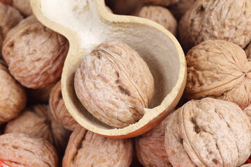 Walnuts are isolated on a white background,