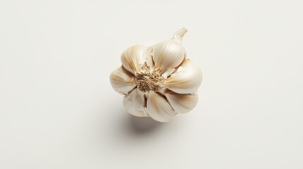 garlic on a white background