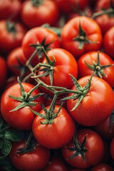 Fresh, ripe tomatoes piled together at a local farmer's market during summer harvest