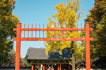 Autumn of Jeonju Hanok Village Gyeonggijeon Shrine in Jeonju, Korea