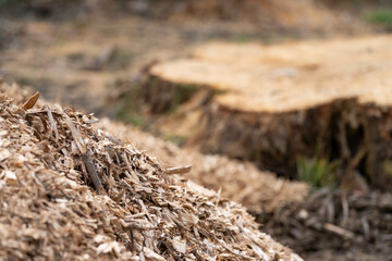 pile of woodchips to spread as mulch or make compost