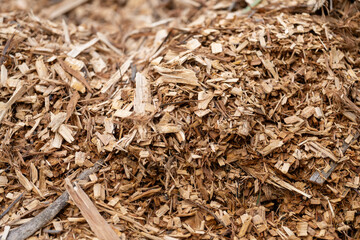 pile of woodchips to spread as mulch or make compost