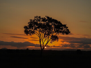 Pôr do Sol Mágico