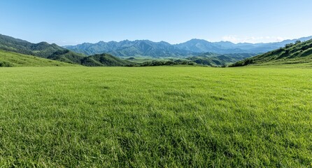 Naklejka premium Lush green meadow with mountain range in the background