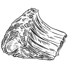 ribs meat handdrawn illustration