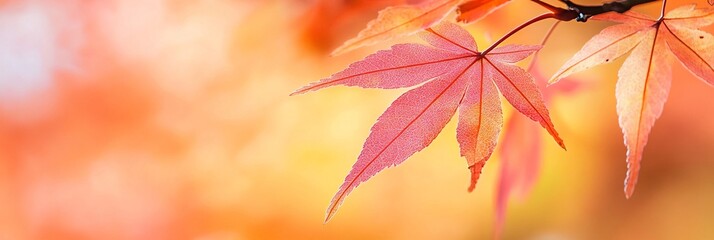 Close-up of autumn leaves on branch with dreamy bokeh background in soft pastels.