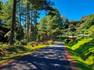 Panama, Boquete, road in the tropical forest on the hills