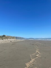Wellington beach nz