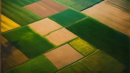 Rich Tapestry of Agricultural Fields Seen from the Sky, Showcasing the Diverse Colors and Textures of Rural Farmland_082