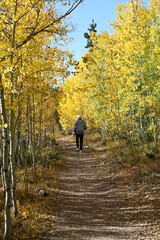 Unidentified Hiker in the Fall