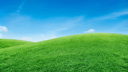 Obraz premium Lush green grass field in a public park under a bright blue sky with fluffy white clouds.