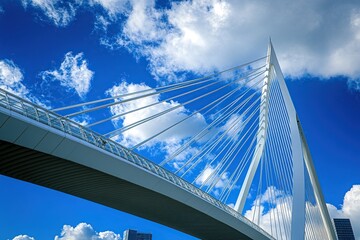Fototapeta premium A modern cable-stayed bridge with a white deck and steel cables against a bright blue sky with white clouds.