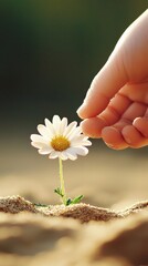 Nurturing Nature A Hand Gently Supports a Flower's Growth
