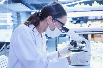 Female scientist wearing mask and gloves closely observing sample under microscope in laboratory....