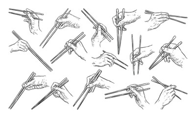 Handdrawn Chopstick Grip Collection