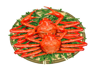 ズワイガニ（二杯）ザル、檜の葉付き