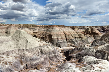 Blue Mesa - Petrified Forest National Park
