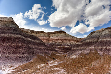 Blue Mesa - Petrified Forest National Park