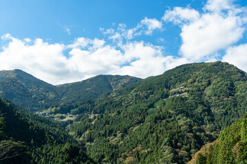 Naklejka premium 徳島県祖谷の山