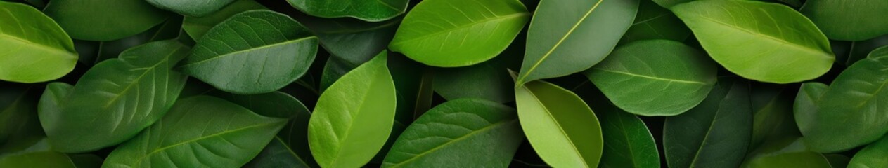 Lush Green Leaves Background for Natural Themes