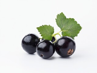 blackcurrant isolated on white background