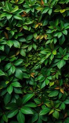 Obraz premium A lush tropical green leaves background with vibrant foliage creating a natural textured backdrop, tropical, backdrop