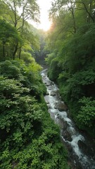 Obraz premium A lush green forest with a winding river running through, the sun peaking through the canopy above, sunlight, tranquil