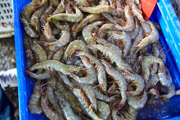 Close-up view of fresh shrimp in market