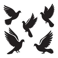 Obraz premium Silhouette set of dove