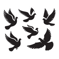 Fototapeta premium Silhouette set of dove