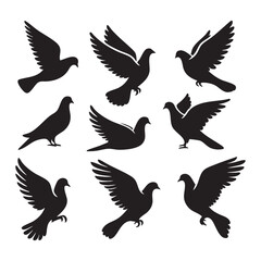 Obraz premium Silhouette set of dove