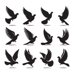 Silhouette set of dove