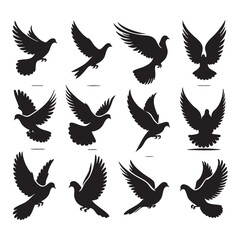 Obraz premium Silhouette set of dove