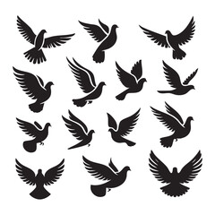 Obraz premium Silhouette set of dove