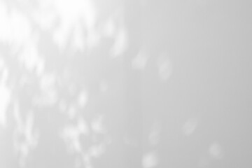 Abstract natural tree leaves shadow on white wall background