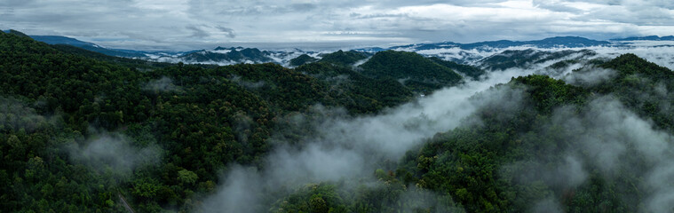 aerial view landscape rain forest and mist cover mountain valley, drone photography panorama.