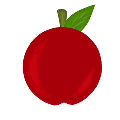 Apple Fruit