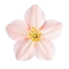 Obraz premium Light blue envelope with a pointed flap, designed for sending letters and invitations, emphasizing its clean and modern look for graphic resources. transparent background, png