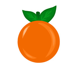 Orange Fruit