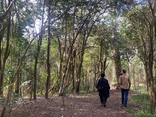 Fototapeta premium Camden Nepean River