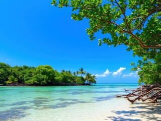 Mangrove trees growing in shallow coastal waters under a clear blue sky, ecosystem, coastline