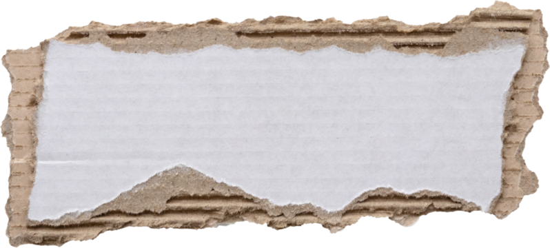 piece of white paper tear isolated on white background