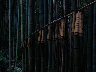 fence