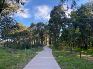Bush walk camden