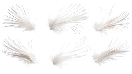 Obraz premium Soft White Feather Angel Wings on Clear Background Generative AI