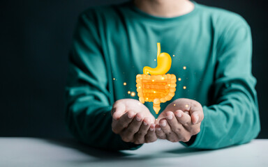 Diagnosis and treatment of diseases of the digestive system in the body. healthy bowel digestion,...