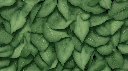 Fototapeta premium A highly detailed, close-up photograph of intricate leaf texture